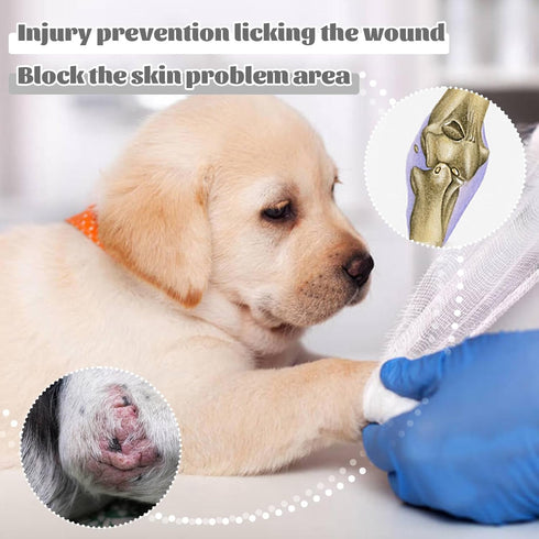 ROZKITCH Dog Surgery Recovery Sleeve Front Right Left Leg, Pet Prevent Licking Wound Elbow Brace Protector, Dog Recovery Suit Cone Collar Alternat...