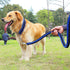 Dog Collar and Leash Set, Heavy Duty Nylon Braided Rope Strong 4 FT Dog Leash and Dog Training Collar for Small Medium Large Dogs...