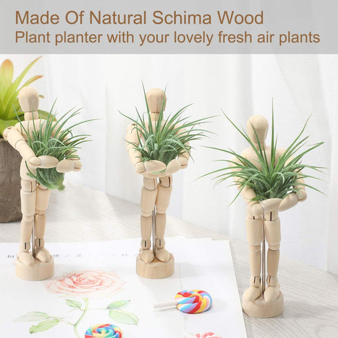 6 Sets Air Plant Holder Wooden Jointed Mannequin Tabletop Flexible Shape Adjustable Pose DIY Accessories Decor Planter Tillandsia Air Fern Display...
