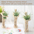 6 Sets Air Plant Holder Wooden Jointed Mannequin Tabletop Flexible Shape Adjustable Pose DIY Accessories Decor Planter Tillandsia Air Fern Display...