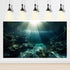 Aquarium Background Underwater Dark Cave Sunlight Rays Terrarium Background Undersea Moss Rocks Aquarium Backdrop Fish Tank Decor Vinyl 30x12in...