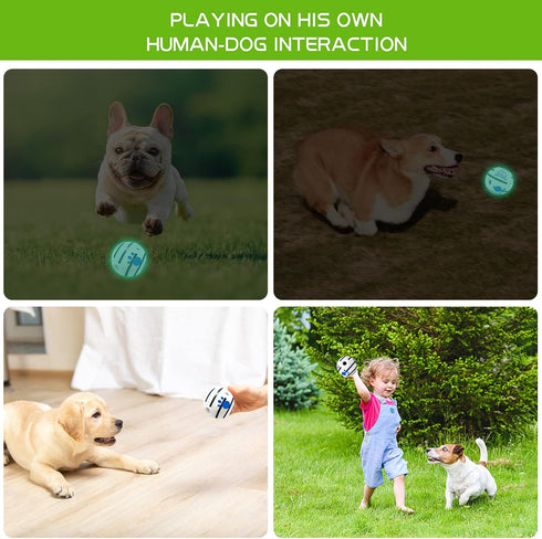 Small Dog Ball, Interactive Dog Toys Ball,Squeaky Dog Toys Ball,Glow in The Dark Ball for Training Teeth Cleaning Herding Balls Indoor Outdoor Saf...