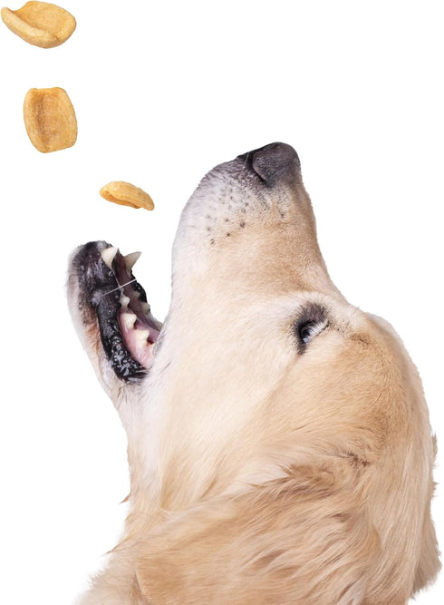 Krunch Air Crisp Dog Treat, Healthy Treats for Training, Dog Treats with 5 Calories Per Crisp, Low Fat, Perfect for Sensitive Stomachs & Skin – Wh...