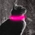 BSEEN Light Up Dog Collars - Rechargeable Glowing LED Dog Collar for Small Dogs & Cats (Pink)...