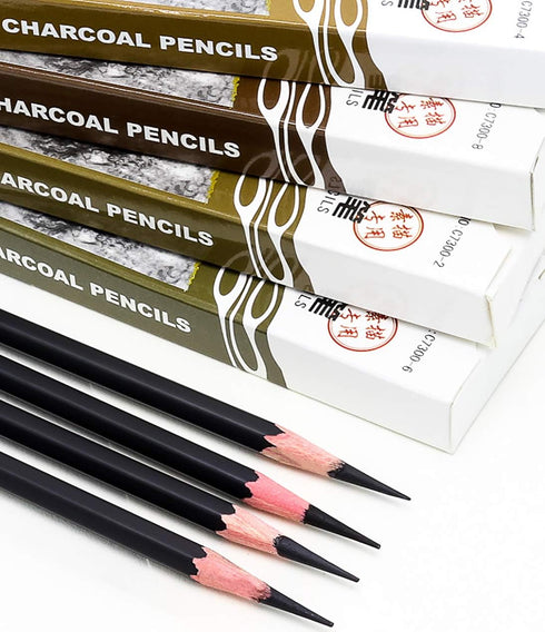 Carbon Painting Pencil Charcoal Drawing Sketch Pencils 12 Piece Soft...