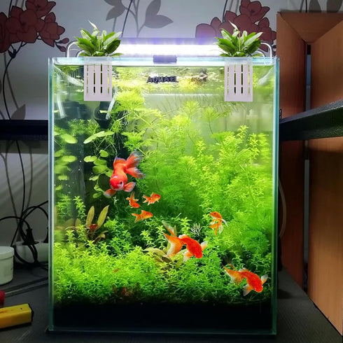 6PCS Upgraded Aquarium Plant Holder, 5.1x3.1x2.1 Inch White Hanging Aquatic Plant Pot with 36 Hooks and 12 Suction Cups, Fish Tank Plant Holder fo...