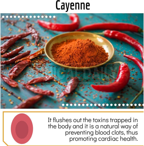 Clinical Daily Blood Circulation Supplements. Butchers Broom, Horse Chestnut, Hawthorn, Cayenne, Arginine, Diosmin Varicose Veins Treatment for Le...
