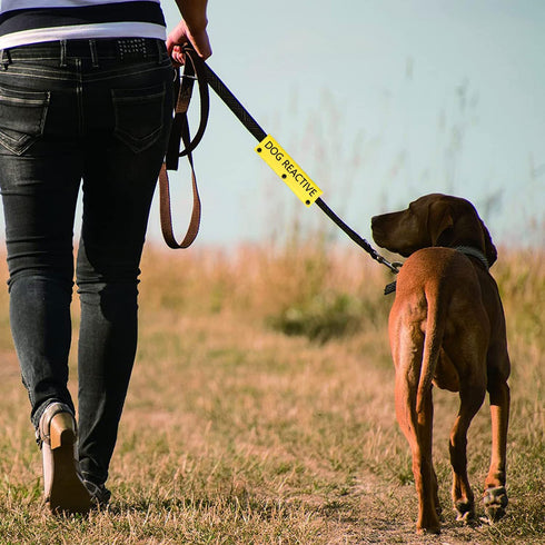 Funny Dog Leash Sleeve Dog Reactive Dog Leash Wrap Wrap Alert Hanging ID Patch Tag Pet Birthday Gift (Dog Reactive-YE Sleeve)...