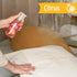 Home & Fabric Spray Air Freshener, Fragrance for Office, Car, Bathroom, Multiroom - Citric, 8.45 Oz (Pack of 1)...