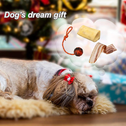 K9 Training Ball with Rope Exercise and Reward Toy for Dogs Indestructible Dog Toy Ball with Handle for Training Pull Throw Toy tug Toy Dogs Fetch...