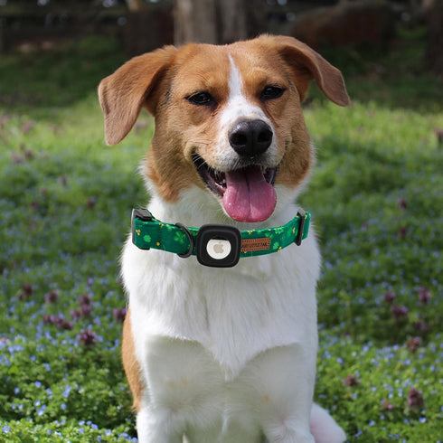 Elegant little tail Airtag Dog Collar, St Patrick's Day Dog Collar Pet with Airtag Holder Holiday Pet Collar Cute Puppy Collar Adjustable Pet Dog ...