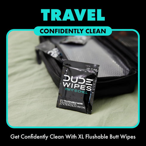 DUDE Wipes - On-The-Go Flushable Wipes - 1 Pack, 30 Wipes - Mint Chill Extra-Large Individually Wrapped Adult Wet Wipes - Eucalyptus & Tea Tree Oi...