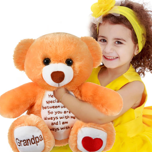 Sympathy Bears for Boys and Girls Loss of Grandpa,memorial Stuffed Animal for Loss of Grandpa Boys and Girls Sympathy Gift for Grieving Bear Plush...