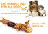 Squeaky Dog Toys for Boredom, No Stuffing Toys with Crinkle Paper, Soft Dog Chew Toy Tug-of-war Toy for Chewers, Interactive Elastic Puppy Toys fo...