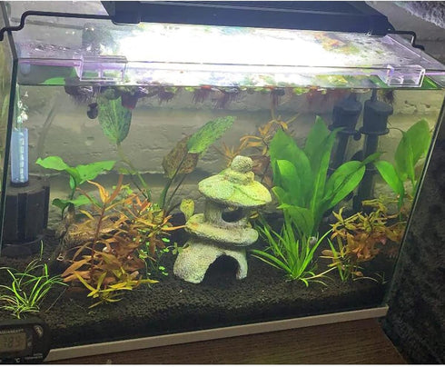 20 Pieces Aquarium Lid Clips 5mm for Rimless Aquarium Acrylic Fish Tank Glass Cover Clip Support Holder...