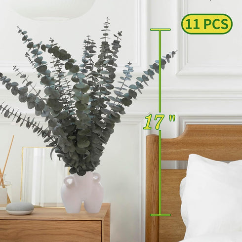 11 PCS Real Dried Eucalyptus for Shower Hanging Decor- 17'' Large Eucalyptus Stems Shower Plants from Fresh Eucalyptus Leaves for Shower, Shower S...