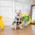 KOOLTAIL Plaid Dog Hoodie Pet Clothes Sweater with Hat and Pocket for Small Medium Large Size Dogs, Soft Winter Warm Dog Cold Weather Coat, Fleece...