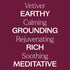 Plant Therapy Vetiver Essential Oil 100% Pure, Undiluted, Natural Aromatherapy, Therapeutic Grade 10 mL (1/3 oz)...