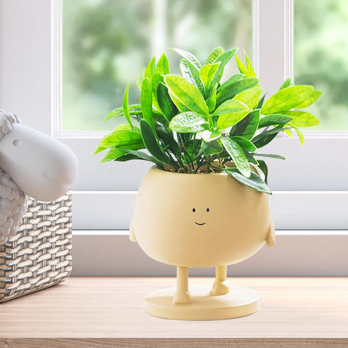 Face Plant Pots, Succulent Pots, 5 Inch Head Planters for Indoor Plants, Cute Resin Flower Pot with Drainage Hole, Unique Cactus Planter...