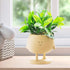 Face Plant Pots, Succulent Pots, 5 Inch Head Planters for Indoor Plants, Cute Resin Flower Pot with Drainage Hole, Unique Cactus Planter...