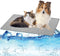 Dog Cooling Mat Cooling Pad for Dog, Washable Cooling Blanket Cushion for Kennel Sofa Bed Floor Car Seats,Travel Summer Dog Pad Made of Ice Silk (...