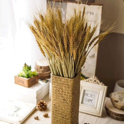 100 Pcs Dried Wheat Sheaves Bundle Golden Natural Wheat Bouquet Bunch Dried Flowers Arrangement for Fall Farmhouse DIY Design Home Table Wedding P...
