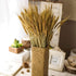 100 Pcs Dried Wheat Sheaves Bundle Golden Natural Wheat Bouquet Bunch Dried Flowers Arrangement for Fall Farmhouse DIY Design Home Table Wedding P...