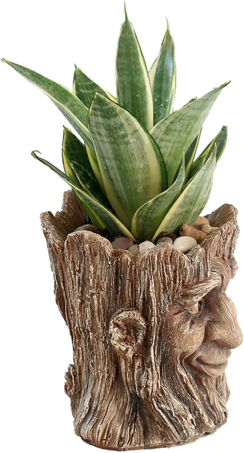 Funny Planter Head Face Plant Pot with Drainage Hole Resin Succulent Plant Holder Pencil Holder Desk Organizer Office Garden Gift (Smile Face)...
