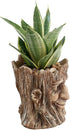 Funny Planter Head Face Plant Pot with Drainage Hole Resin Succulent Plant Holder Pencil Holder Desk Organizer Office Garden Gift (Smile Face)...