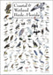 Earth Sky + Water - Coastal & Wetland Birds of Florida - Poster...