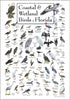 Earth Sky + Water - Coastal & Wetland Birds of Florida - Poster...