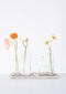 Creative Co-Op Set of 5 Vintage Bottle Vases on Wood Tray...