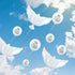 Skylety 36 Pieces Memorial Balloons to Release in Sky Memory Peace Dove Balloons Helium for Funeral, Condolence, Funeral, Anniversary, Memorial Se...