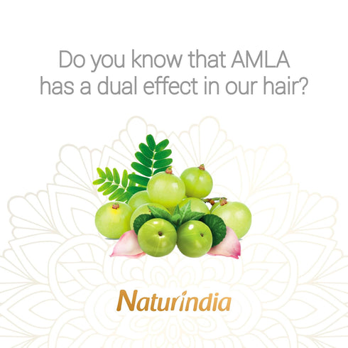 Ayurvedic Organic Shampoo for Hair Growth Amla Indian Vitalize Formula for Shiny and Strong Hair with Vitamin C and B-Complex natural herbs from I...