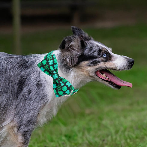 St.Patrick's Day Clover Dog Collars with Bow Tie,Black Clover Soft Cotton with Safety Metal Buckle Adjustable Puppy Collars for Large Boy & Girl D...
