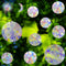 18 Pcs Circle Window Clings - Anti-Collision Window Decals to Save Birds from Window Collisions,Non Adhesive Window Clings, Rainbow Stickers...