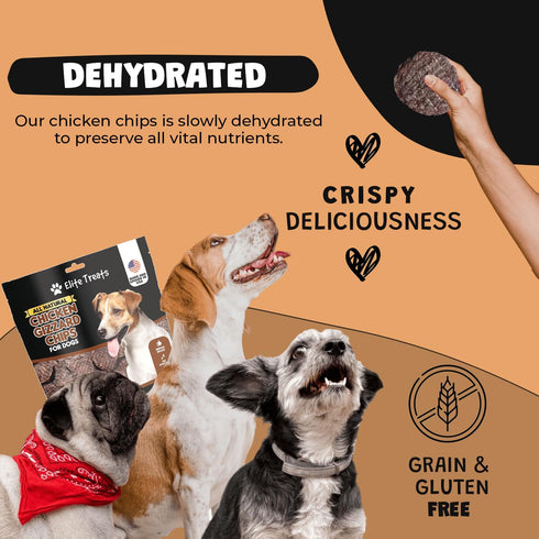 Chicken Gizzard Chips: Dogs All Natural Training Treats | Made in USA | Single Ingredient | Healthy Treats | for Puppies, Small, Medium & Large Br...