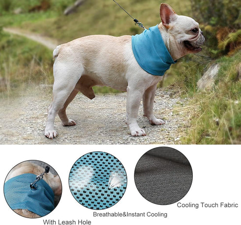 Pet Ice Band Dog Cooling Bandana for Dogs Cats Instant Cooling Collar Breathable Summer Scarf for Hot Days & Summer Large Grey...