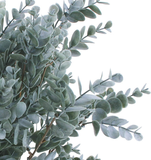 3 Pack of Artificial Eucalyptus Stem Shrub Faux Eucalyptus Leaves Spray Artificial Greenery Stems Fake Silver Dollar Branches Plants for Home Wedd...