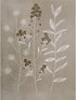 Design Works Crafts 3017 Garden Expressions Candlewick Kit, 18 by 24"......
