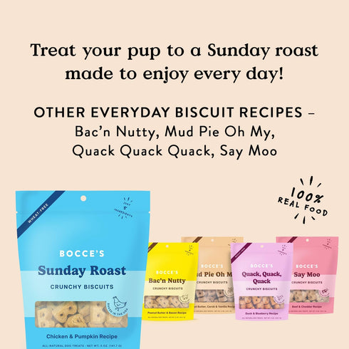 Bocce's Bakery Oven Baked Sunday Roast Treats for Dogs, Everyday Wheat-Free Dog Treats, Made with Real Ingredients, Baked in The USA, All-Natural ...