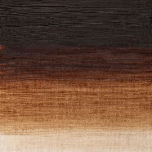 Winsor & Newton Artists' Oil Color, 37ml (1.25 oz) Tube, Burnt Umber...