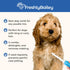 Dog & Cat Combs For Grooming Long Haired Cats & Dogs - Top Pet Detangler Brush For Long & Curly Hair - Comb Removes & Prevents Matted Fur - Perfec...