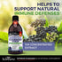 Elderberry Syrup for Kids and Adults - Natural Immune Support with Zinc and Vitamin C Plus 10x Concentrated Sambucus Elderberries - Blueberry Panc...
