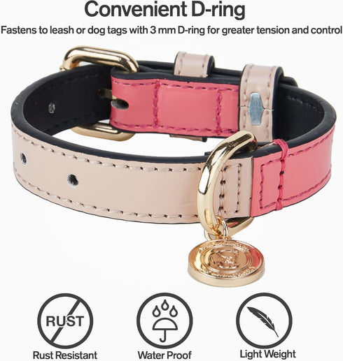 Scotch&Co Leather Pet Collars – Fiber Leather Pet Neckband with Elegant Chic Waxed Cotton Stitched Edges | Adjustable Brass Buckle | Suitable for ...