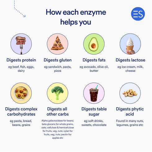 Essential Stacks Pure Digestive Enzymes (Gluten, Dairy & Soy Free) - 18 Enzymes for Digestion incl. Amylase, Lipase & Lactase - Vegetarian & Non-G...