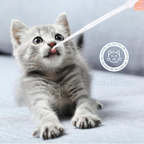 Teenitor 2ML Plastic Transfer Pipettes Eye Dropper 100PCS Disposable Pipettes Dropper, Plastic Pipettes for Essential Oils, Transfer Liquids for E...