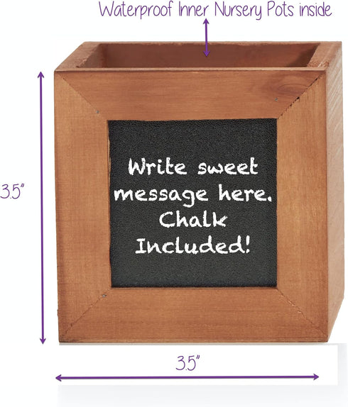 ZESTIGREENS Indoor Herb Pots for Herbs, Succulents, or Small Plants. 3 x Indoor Plant pots with Waterproof Liner Included....