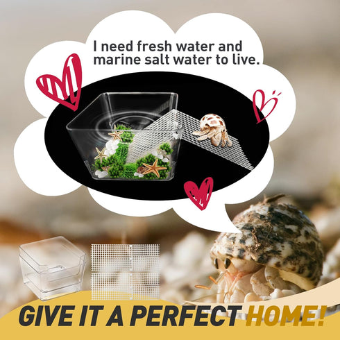 2 Packs Hermit Crab Water Tank - Ideal Hermit Crab Pool and Tank Combination - Hermit Crab Water Tank with Cuttable Climbing Ramp...
