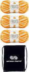 Premier Yarns Fruits Orange 2052-05 (3-Skeins - Same Dye Lot) Weight #1 Acrylic Yarn for Crocheting and Knitting - Bundle with 1 Artsiga Crafts Pr...